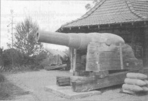 The old Naval guns in Kings Park in 1998